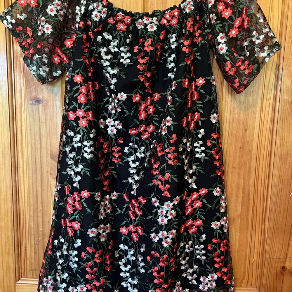 BB Dakota Red and White Flutter Sleeve Sundress
